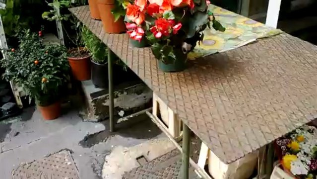 Videotest 720p Nokia Lumia 820 (per confronto di giorno con HTC One)