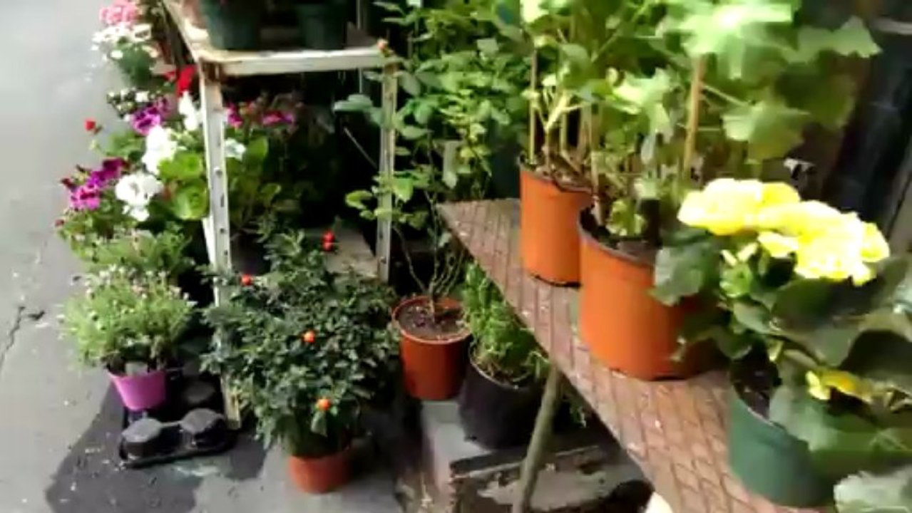 Videotest 720p HTC One (per confronto di giorno con Nokia Lumia 820)