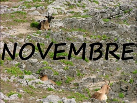 Les Mois de l'Année - French Months of the Year