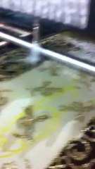 Lavage tapis Tapisclean(strasbourg)hali yikama)www.tapis-clean.fr 0388397951