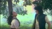 Tu Jahan Bhi Chalega - Chameli Ki Shaadi (1986) Full Song HD