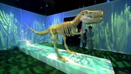 AFP - Le JT 1ère édition