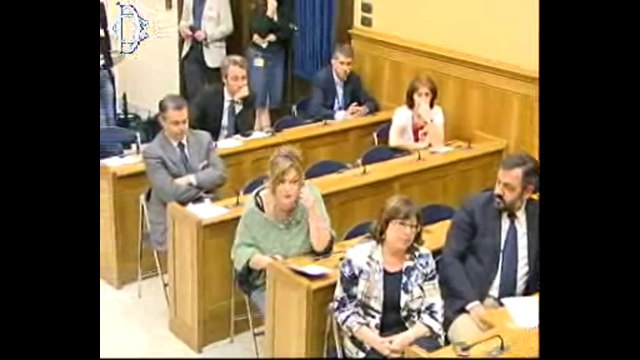 Pierpaolo Vargiu - Indagine conoscitiva sostenibilità welfare sanitario (13.06.13)