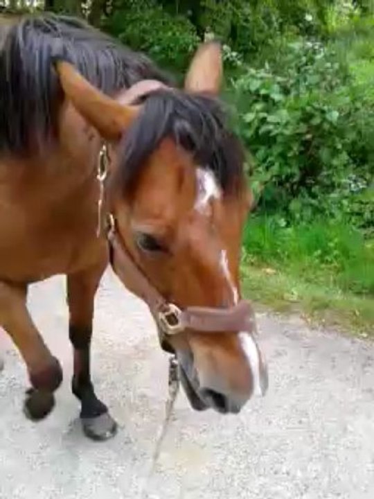 video-2013-06-14-13-48-32