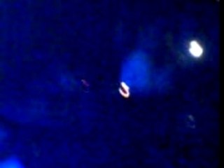 Soirée Tecktonic Miss Tess X