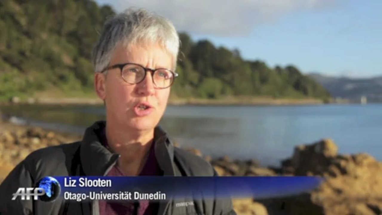 Kampf um die seltensten Delfine der Welt