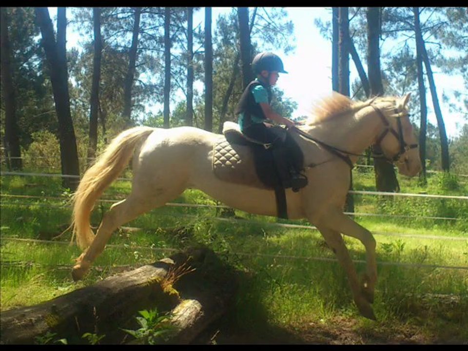 12 Juin 2013 mercredi am ''BBC''