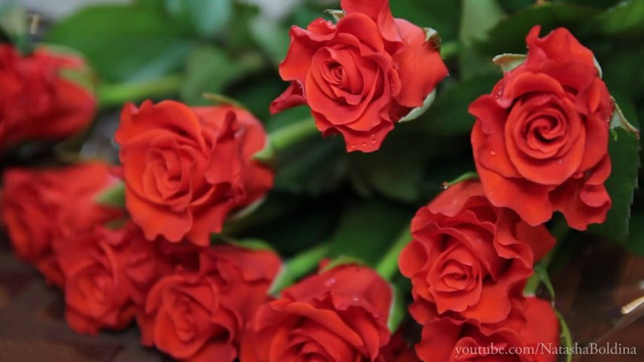 ТАМАДА на ЮБИЛЕЙ Харьков ВЕДУЩАЯ на День рождения в Харькове