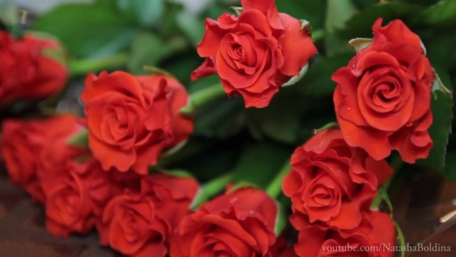 ТАМАДА на ЮБИЛЕЙ Харьков ВЕДУЩАЯ на День рождения в Харькове