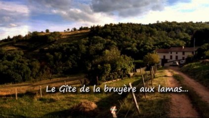 La Bruyère aux lamas