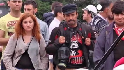 Gezi park safe for now, Turkey PM holds off on redevelopment