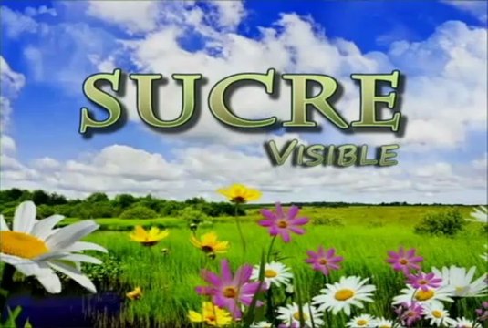SUCRE VISIBLE JUNIO 5 DE 2013