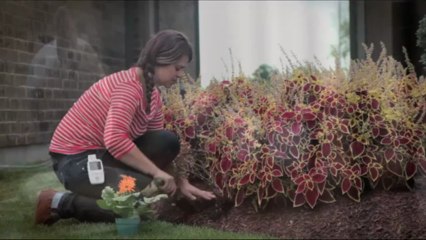 Levana 32111 Jena Digital Baby Video Monitor