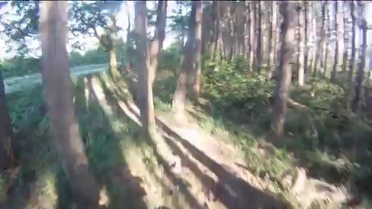 RUN DU SILLON 2013