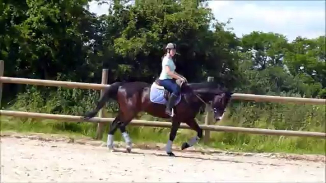 Cuba Libre - travail sur le plat - trot - 14/06/13