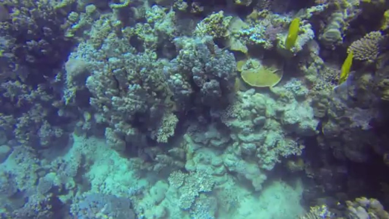 GOPR0054