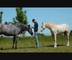 Ades et Alvaro 3 ans (juin 2013)