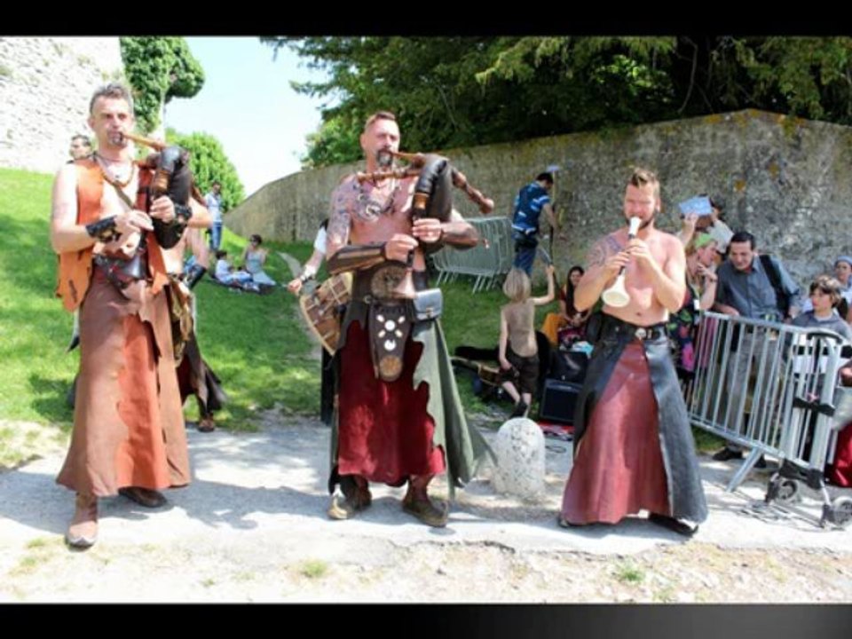 Provins 2013 VIDEO