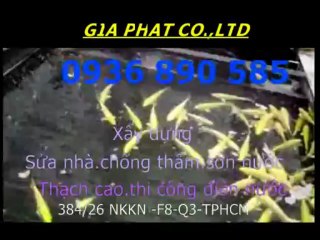 Giá Sửa Chữa Ống Nước tại Quận Thủ Đức => Viber 0936 890 585