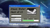 steam wallet hack 2013 no survey and with proof - 2013 June  Working 100% With Proof No Survey