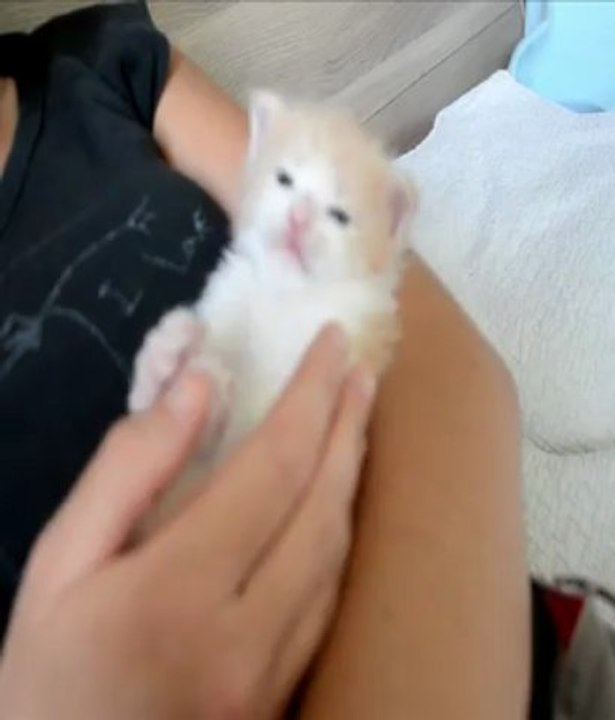 it'smine..
