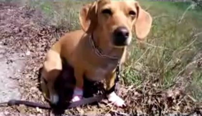 (197) Savannah's Pink boxing gloves