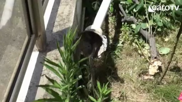 Icaro Tv. Pirata della strada uccide russa a Rivazzurra