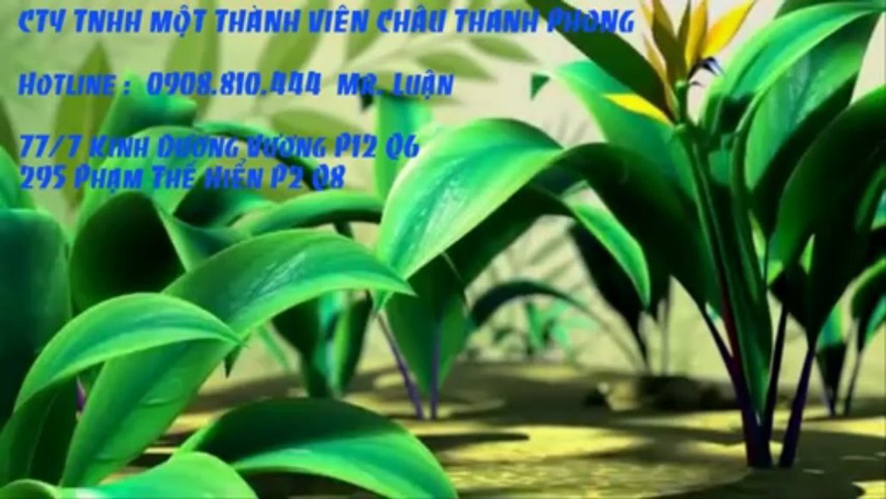 Bơm mực ở Quận 6, Sửa máy in ở Quận 6, Nạp mực tận nơi quận 6 _ Call 0908.810.444