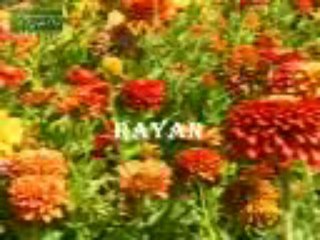 beautiful quran recitation by child