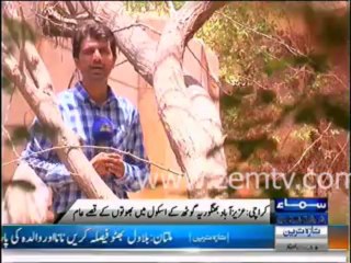 School in Karachi -Place for Students or Ghosts?