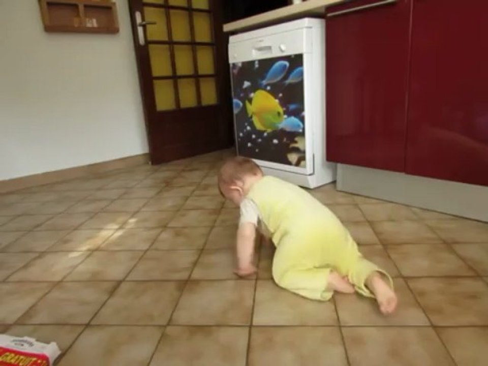 Arthur à 4 pattes