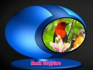 Muzik Shqiptare - kolazh 1