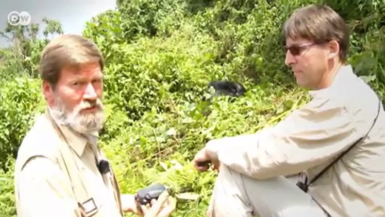 World Stories: International Reporters | World Stories