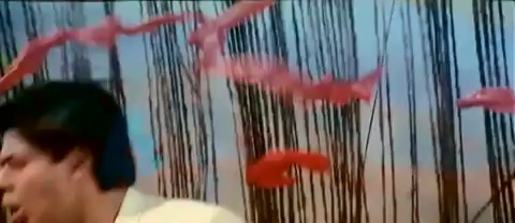 Hum Tumhare Hain Sanam