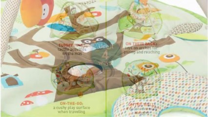The Skip Hop Treetop Friends Activity Gym
