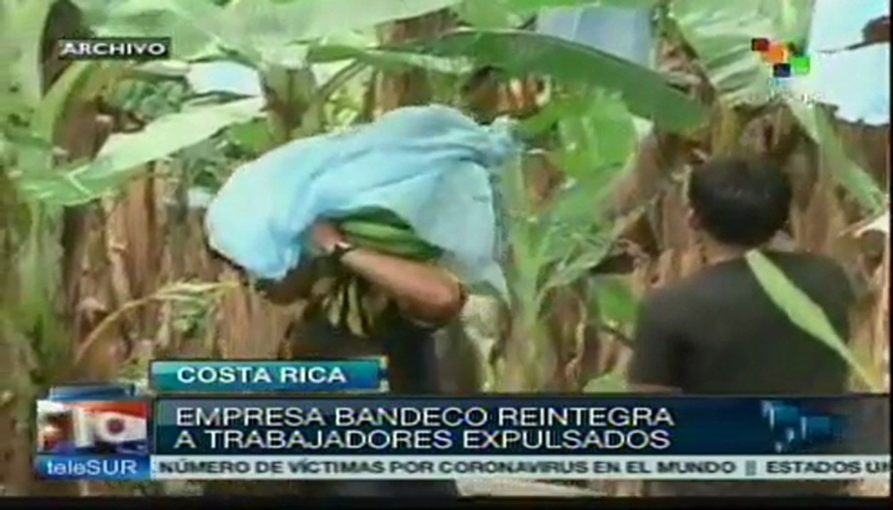 Reinstala bananera Bandeco a trabajadores en huelga en Costa Rica