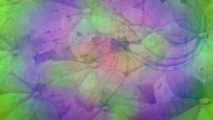 Tara Brach - Guided Mindfulness Meditation 9