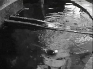 - Grace Kelly (1955) à Saint Paul de Vence