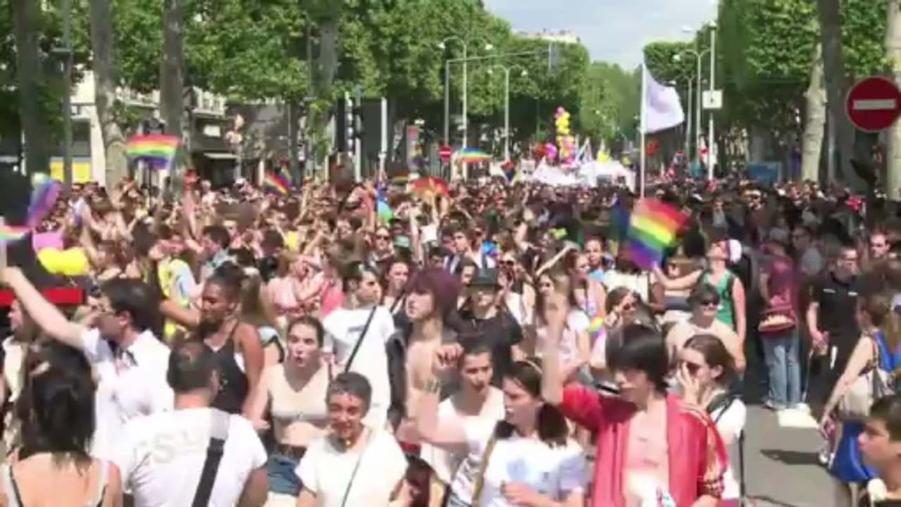 Gay Pride: à Lyon les manifestants veulent plus que le mariage