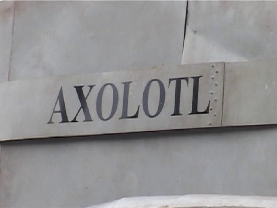 2013 Juin - Un sous-marin sur les Quais (June 2013 - A submarine on the Quays)