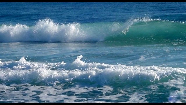 MER - COQUILLAGES & FOND MARIN