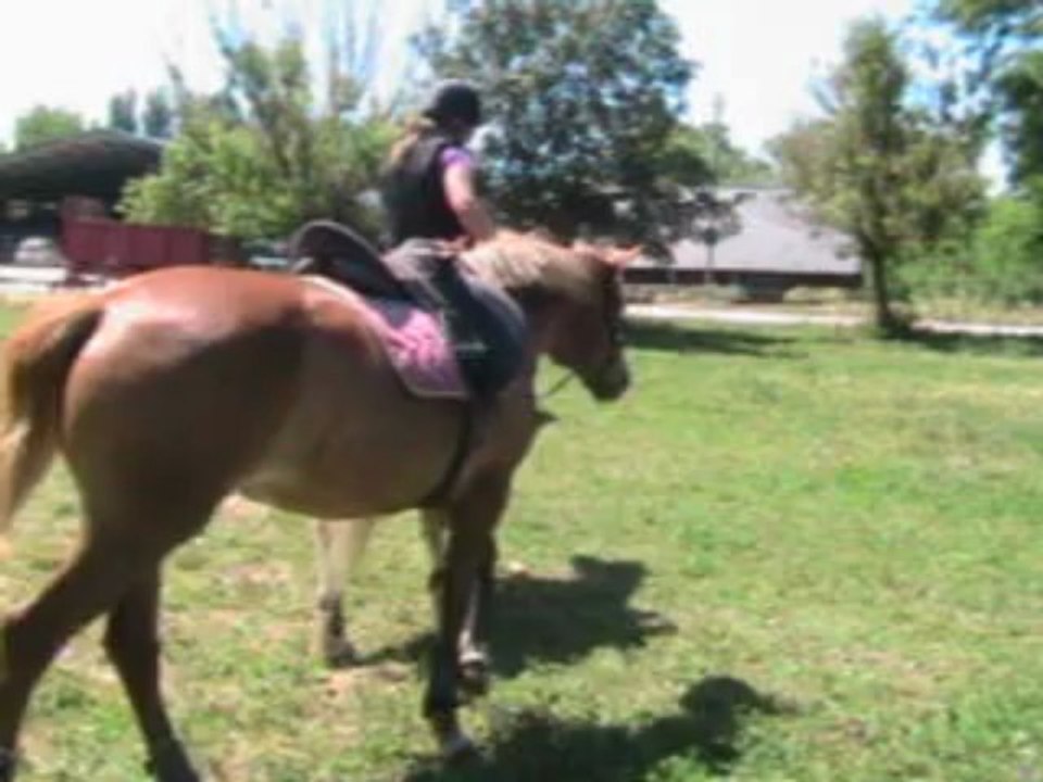 Passage de destre à senestre