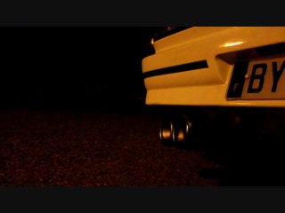 son échappement 309 GRD 1.9D