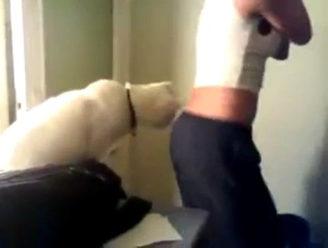 Günlük kiralık daire ev 05426834113 kadıköy sahibinden anadolu istanbul apart daireler pansiyon otel rezidans stüdyo günlük evler daireler kadıköy sahibinde günlük kiralık daireler ev sahibinden