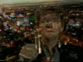 céline dion, lara fabian, garou,