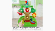Fisher Price Healthy Care High Chair Replacement Pad Rainforest