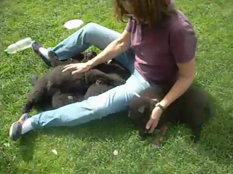 15 juin 2013 (4) : 8 semaines (avec Marie-Paule)