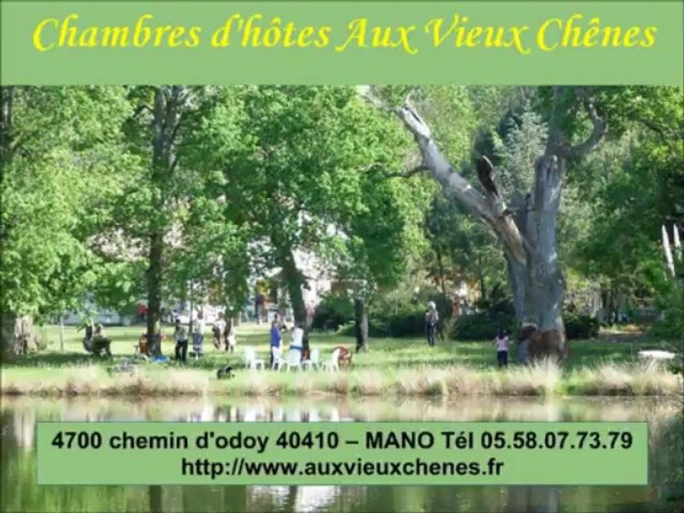 Maman chevreuil et ses petits aux chambres d'hôtes Aux Vieux Chênes