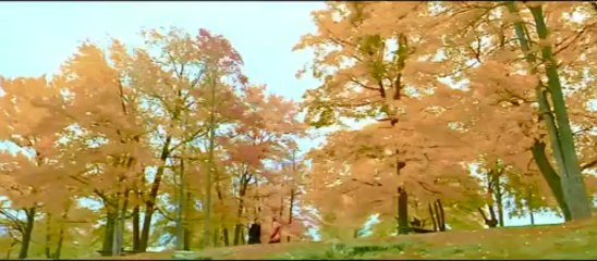 Tumhi Dekho Na- kabhi alvida na kehna