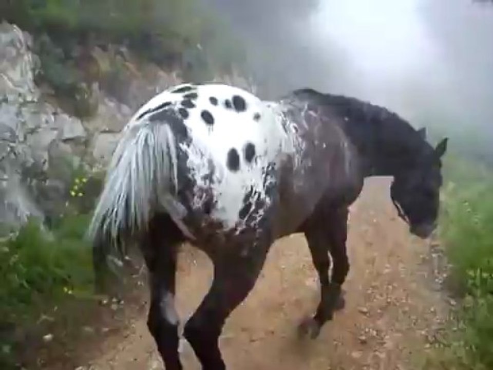 Dioux le 16-06-2013 (épisode 1)